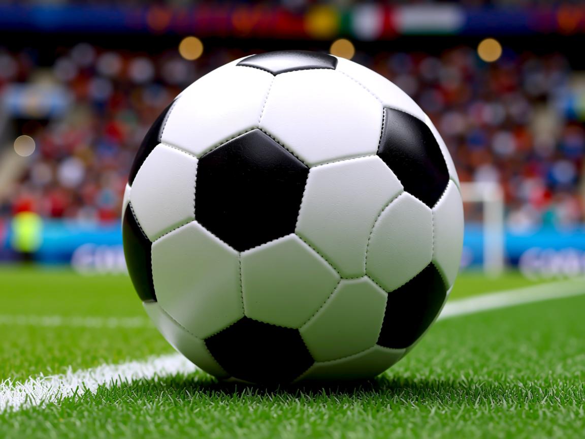 星空体育官网-波兰队未来展望：通过培养多元化人才，提升整体实力，波兰队的  第2张